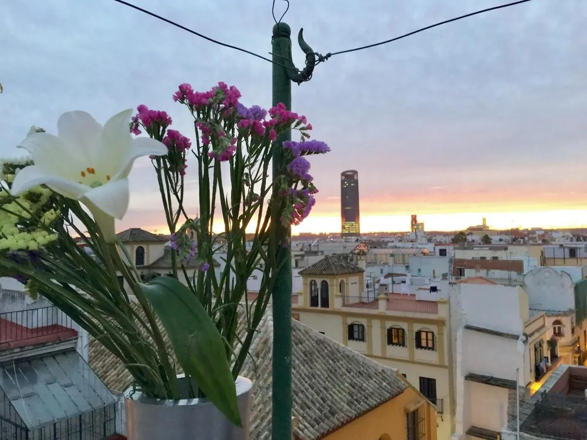 Sweet Home In Downtow In Sevilla